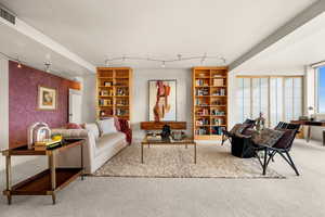 Carpeted living room with rail lighting