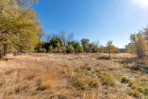 View of local wilderness featuring a rural view