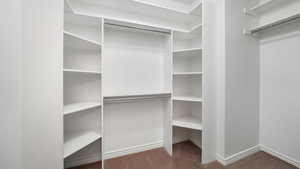 Spacious closet with dark colored carpet