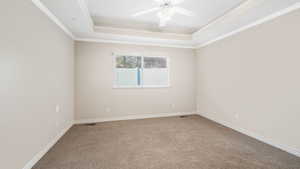 Carpeted spare room featuring a raised ceiling, ceiling fan, and ornamental molding