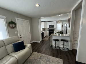 Living room featuring a textured ceiling, sink, and dark wood-type flooring