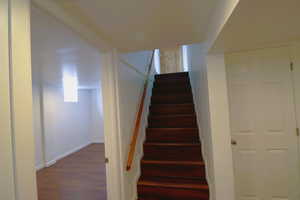 Stairway with wood-type flooring