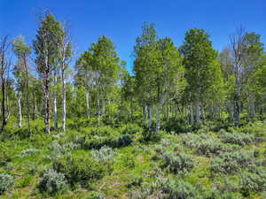 View of landscape