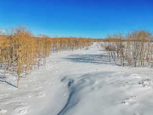 View of snowy yard