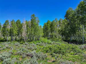 View of landscape