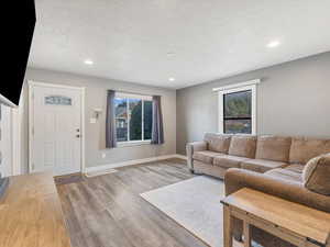 Living room featuring wood-type flooring and a textured ceiling