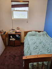 Bedroom with dark colored carpet