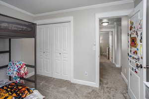 Carpeted bedroom with crown molding and a closet