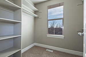 Walk in closet featuring carpet flooring