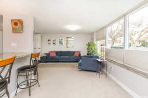 Living room with light carpet