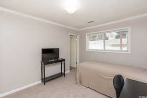 Carpeted bedroom with crown molding