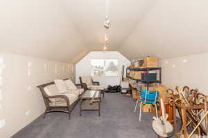 Sitting room featuring vaulted ceiling and dark colored carpet