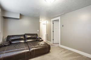 Carpeted living room with a textured ceiling