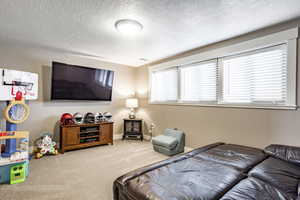 Carpeted bedroom featuring a textured ceiling and multiple windows