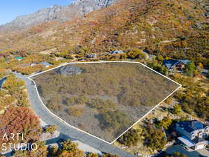 Birds eye view of property featuring a mountain view