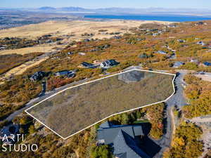 Drone / aerial view featuring a mountain view