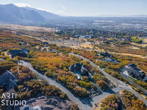 Bird's eye view featuring a mountain view