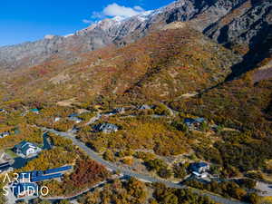 Aerial view featuring a mountain view