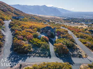 Bird's eye view with a mountain view