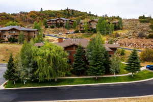 Aerial view with a mountain view