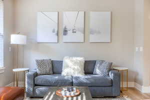 Living room featuring wood-type flooring