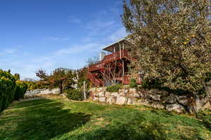 View of backyard.