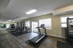 Gym with a textured ceiling, a wealth of natural light, and dark wood-type flooring