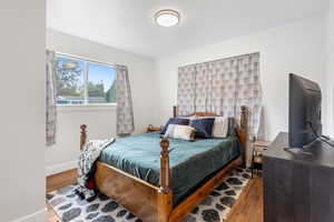 Bedroom featuring wood-type flooring