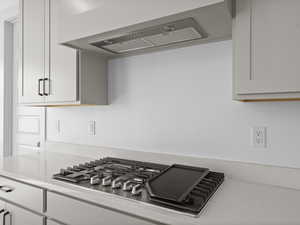 Kitchen featuring extractor fan and stainless steel gas stovetop