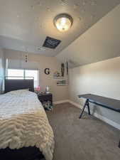 Carpeted bedroom featuring lofted ceiling and a textured ceiling