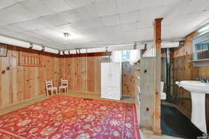 Basement featuring wooden walls and sink