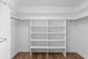 Walk in closet featuring dark hardwood / wood-style flooring