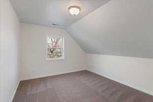 Additional living space with a textured ceiling, carpet, and lofted ceiling