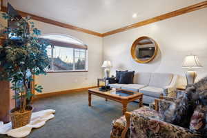 Carpeted living room with crown molding