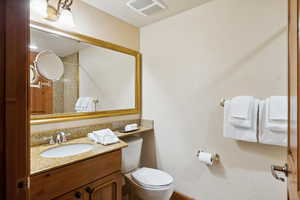 Bathroom featuring vanity and toilet