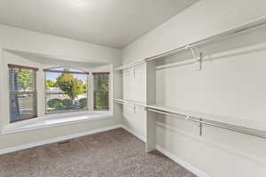 Spacious closet featuring carpet floors