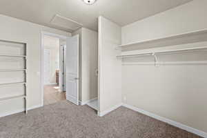 Walk in closet with light colored carpet