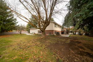 View of yard with a patio