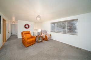 Sitting room with carpet and a textured ceiling