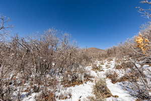 View of snow covered land with a mountain view