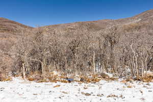 View of mountain feature