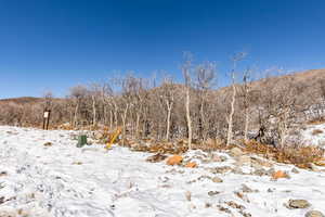 Snowy landscape with a mountain view