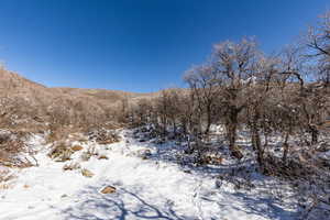 View of mountain feature