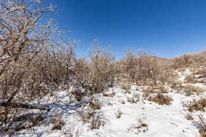 View of snow covered land featuring a mountain view