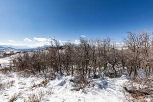 View of snow covered land with a mountain view