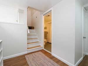 Stairs with wood-type flooring