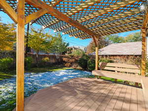 Lovely back yard full of trees and perennials.