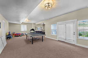 Game room featuring carpet flooring, plenty of natural light, and a textured ceiling