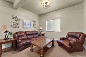 Living room featuring carpet