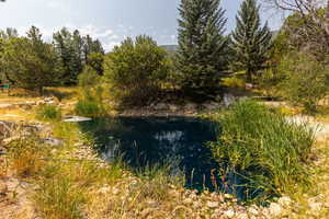 View of local wilderness featuring a water view